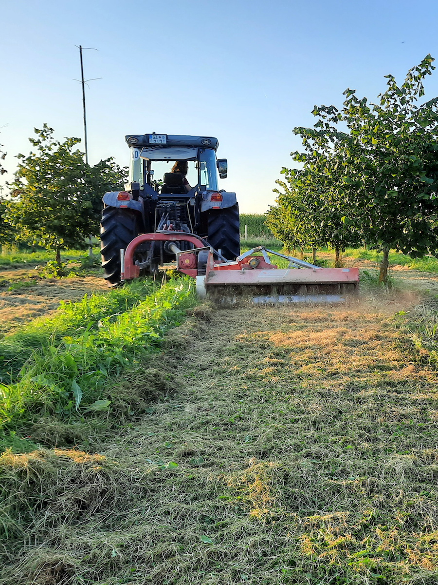 Familie Braun bei der Pflege der Plantage